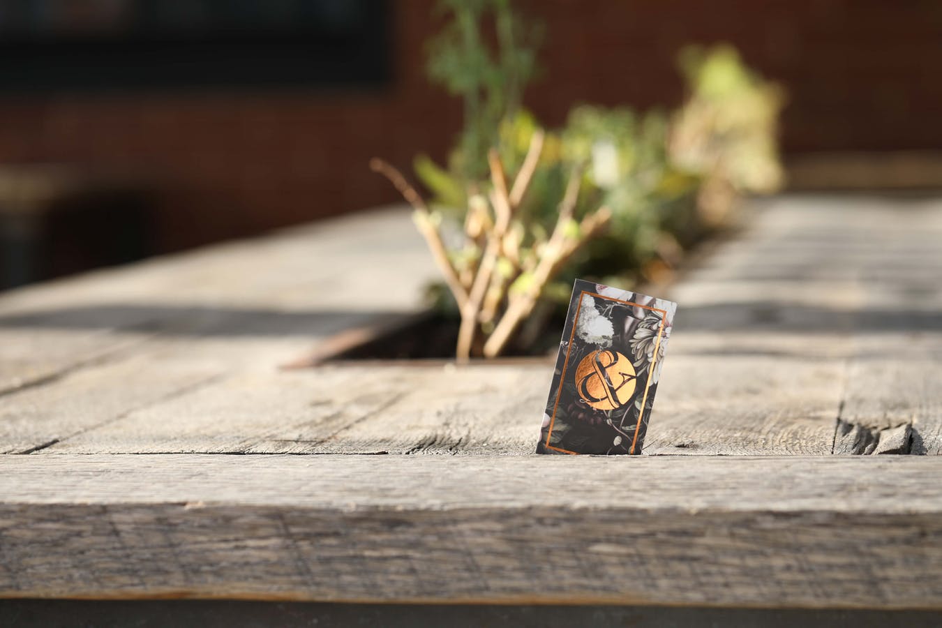 Matte / soft-touch business cards